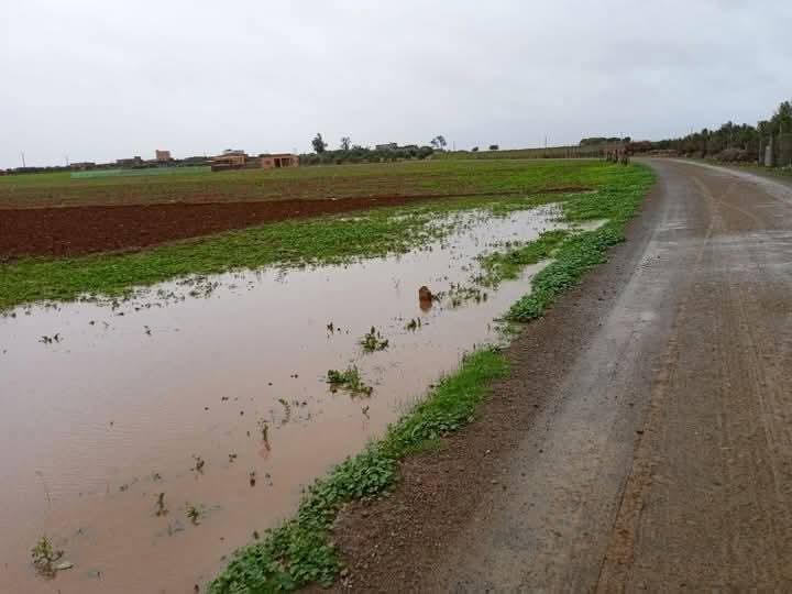 المهدي الفاطمي يسائل وزير الفلاحة حول إتلاف المحاصيل الزراعية ببولعوان وأولاد زيد بإقليم بالجديدة