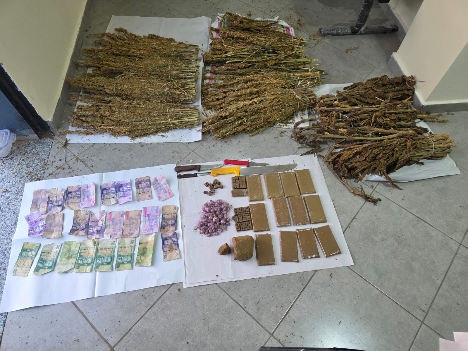 الدرك بالجديدة يوقف تاجر مخدرات مطلوبا للعدالة