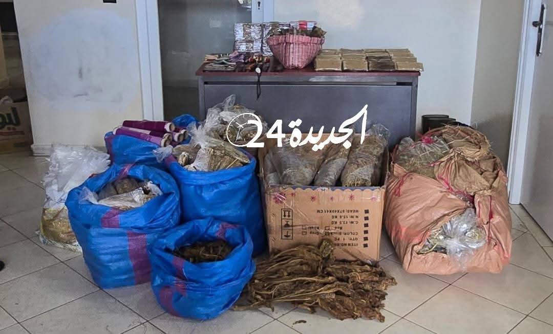 الدرك الملكي يفكك شبكة لترويج المخدرات بنواحي آزمور