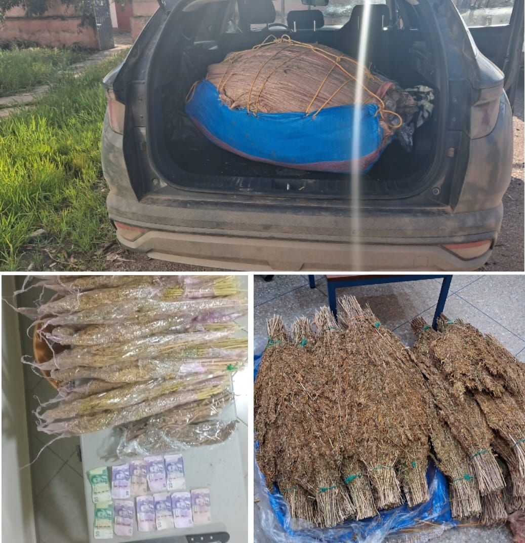 حملات دركية متتالية تسقط تباعا تجارا للمخدرات بإقليم الجديدة