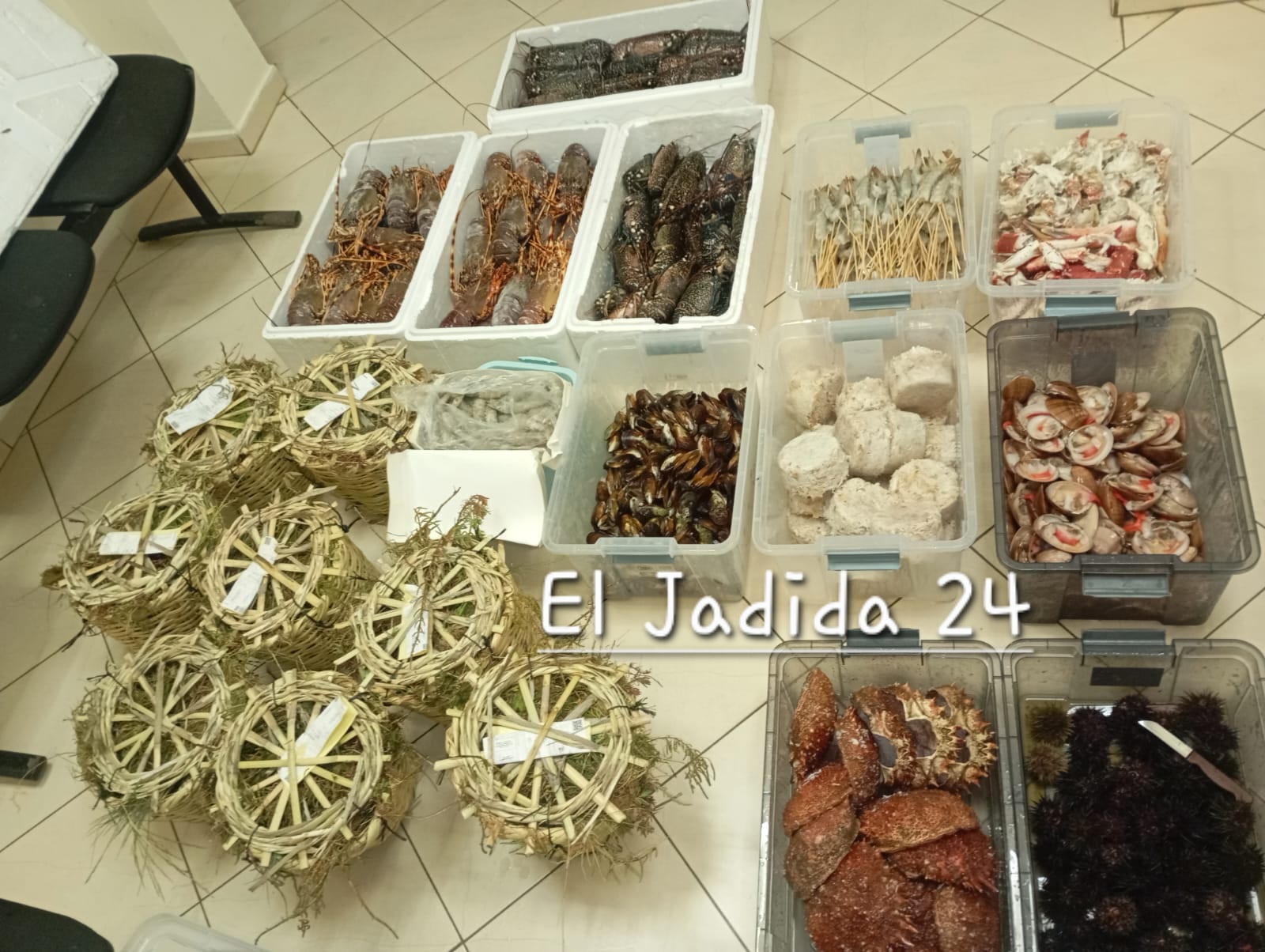 الدرك الملكي بالوليدية يحجز ويتلف أكثر من 50 كلغ من فواكه البحر لنقلها في ظروف غير صحية