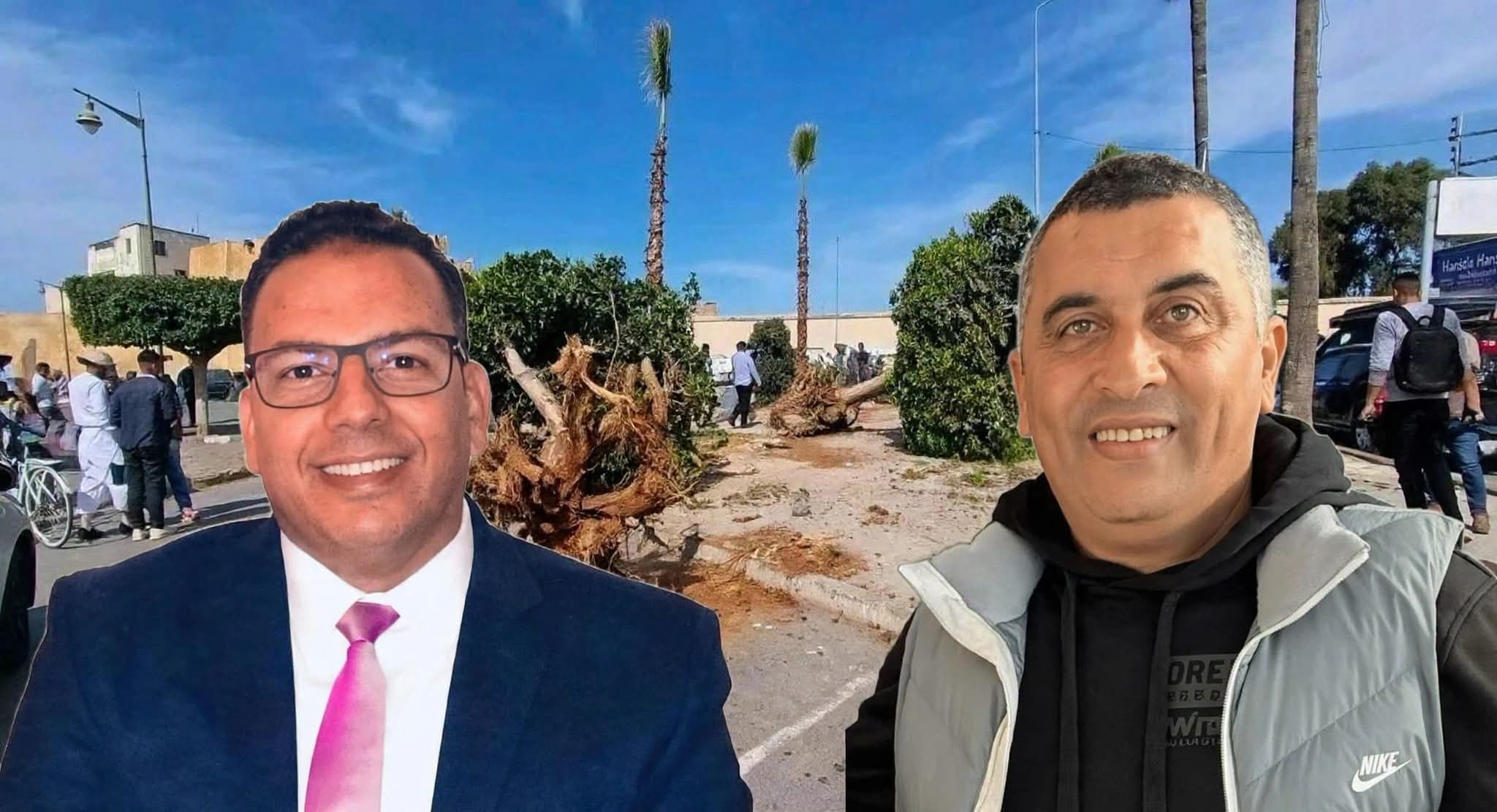 استئنافية الجديدة تقضي بعدم قبول الاستئناف في ملف اجتثاث أشجار الحنصالي