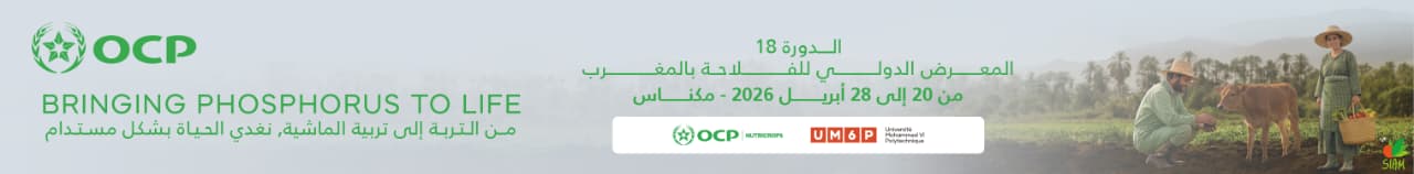 ocp expo meknes
